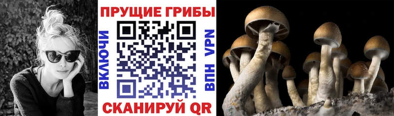 Галлюциногенные грибы Magic Shrooms KRAKEN tor Байкальск